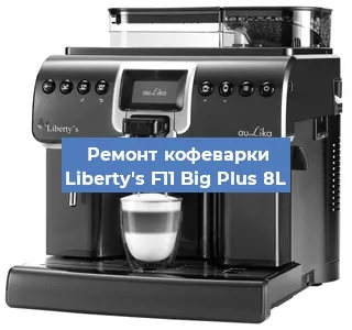 Чистка кофемашины Liberty's F11 Big Plus 8L от накипи в Челябинске